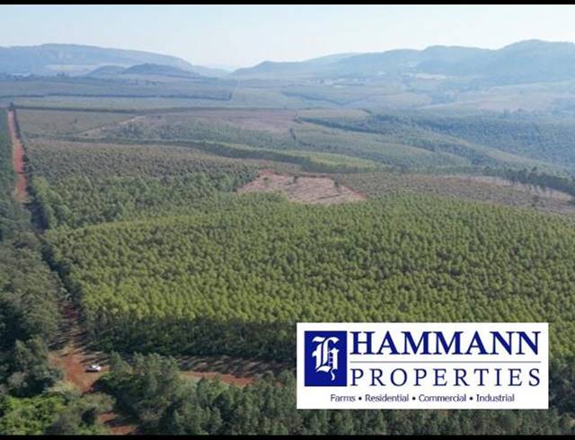 FARM FOR SALE IN LOUIS TRICHARDT RURAL
